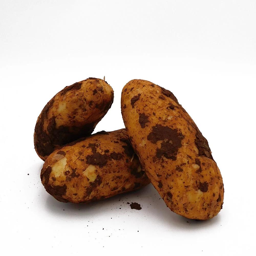 Papas de Chipre: Una Guía Completa para el Consumidor - Are Cyprus potatoes good for anything cyprus potato marketing board - Are Cyprus potatoes good for anything