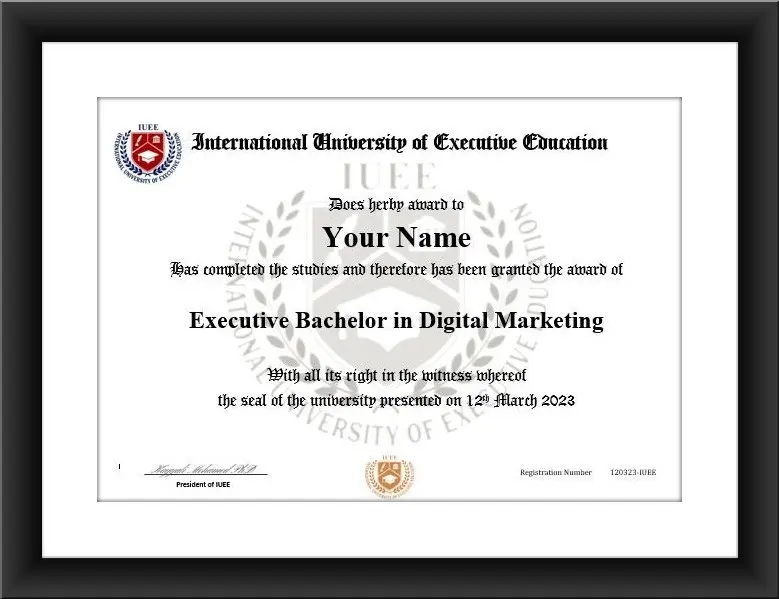 bachelors degree in marketing online - Can you do marketing online