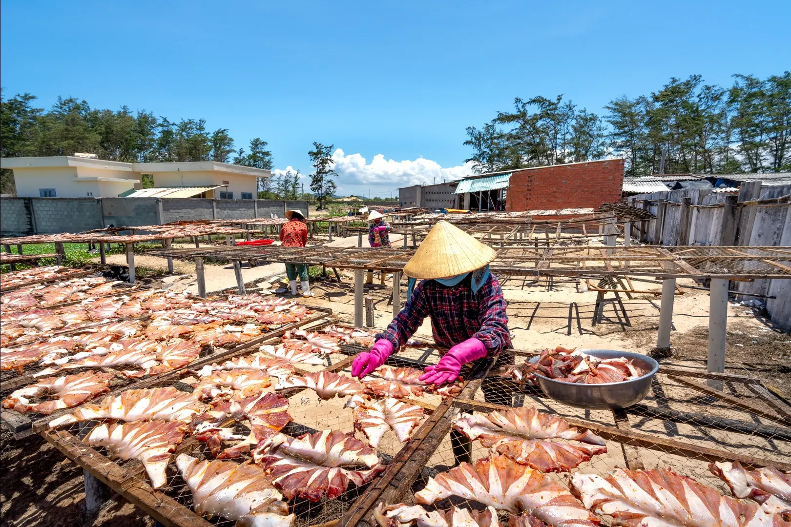 Plan de marketing para piscicultura: Guía completa para el éxito - Cómo comercializar su pescado fish marketing - Cómo comercializar su pescado