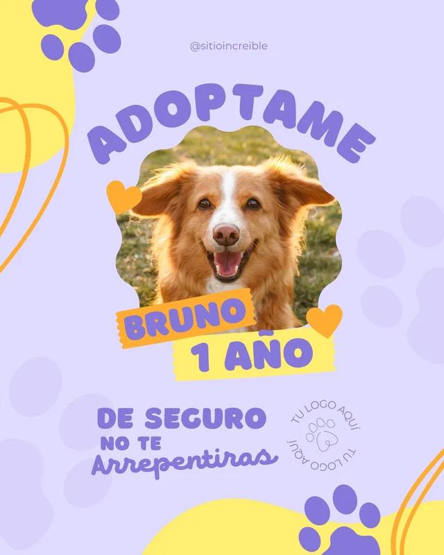 Anuncios para regalar perritos: Guía completa para encontrar el hogar perfecto - Cómo dar de regalo a un perro anuncios para regalar perritos - Cómo dar de regalo a un perro
