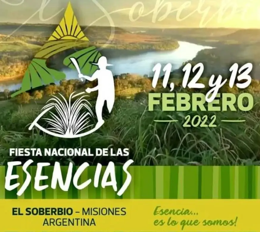 Anuncios en Forestación Misiones: Guía Completa para Proyectos de Reforestación - Cómo es la deforestación en Misiones anuncios en forestación misiones - Cómo es la deforestación en Misiones