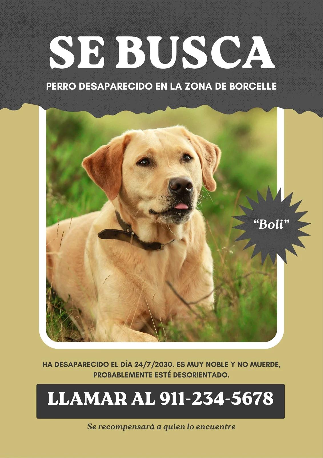 anuncios de perros desaparecidos - Cómo escribir un anuncio de perro perdido