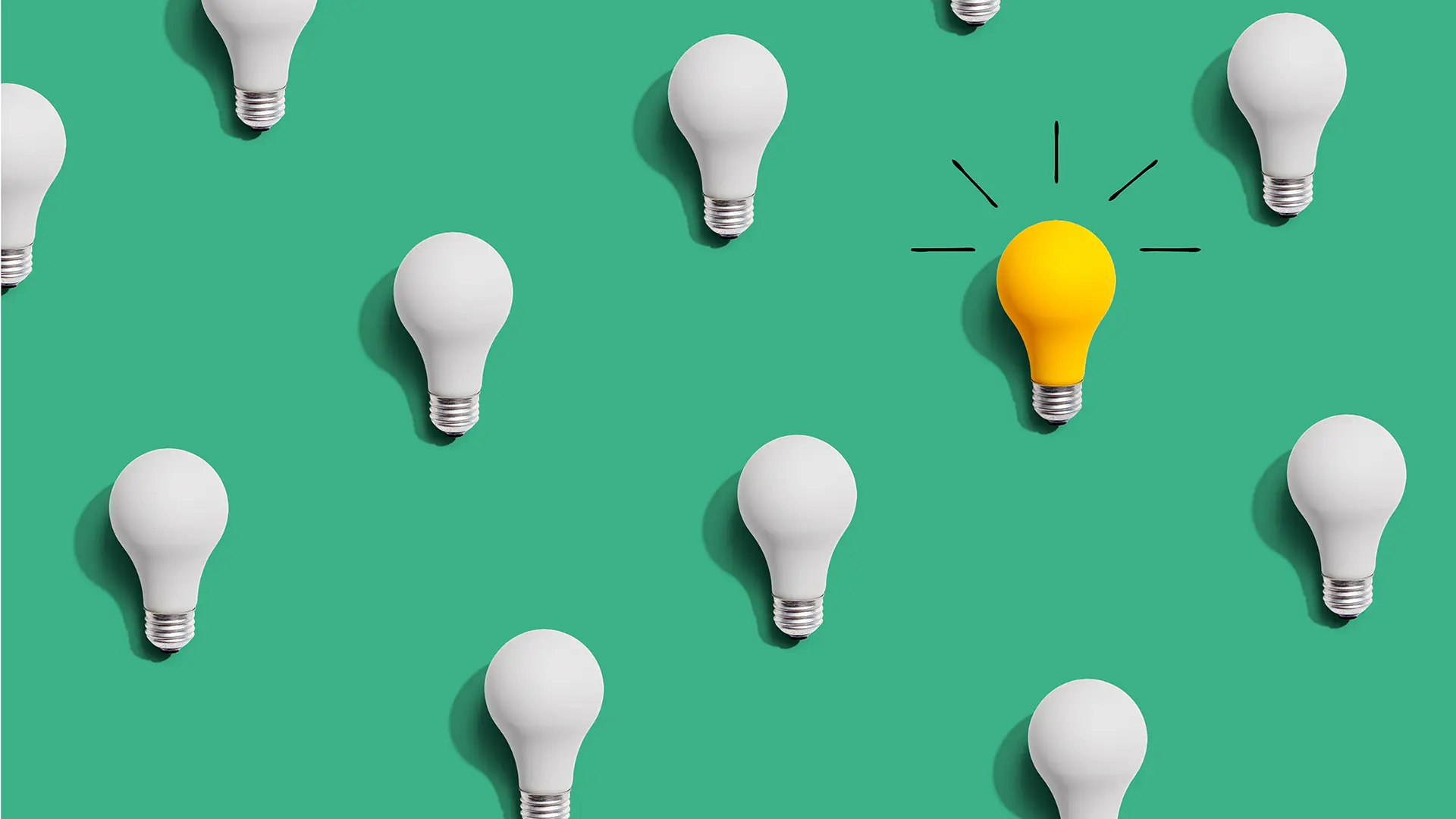 Marketing Ambiental: Ejemplos y Estrategias para un Negocio Sostenible - Cómo hacer marketing ecológico marketing ambiental ejemplos - Cómo hacer marketing ecológico