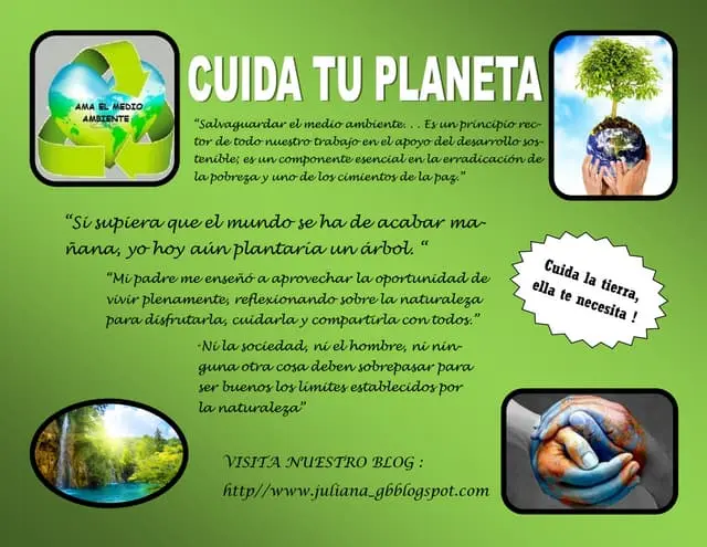 Publicidad ambiental: Una guía completa para anunciantes creativos - Cómo hacer un anuncio sobre el medio ambiente anuncios ambientales - Cómo hacer un anuncio sobre el medio ambiente