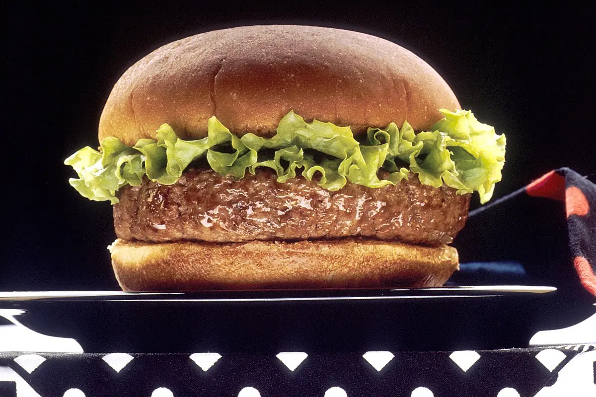 anuncios de hamburguesas - Cómo puedo describir una hamburguesa