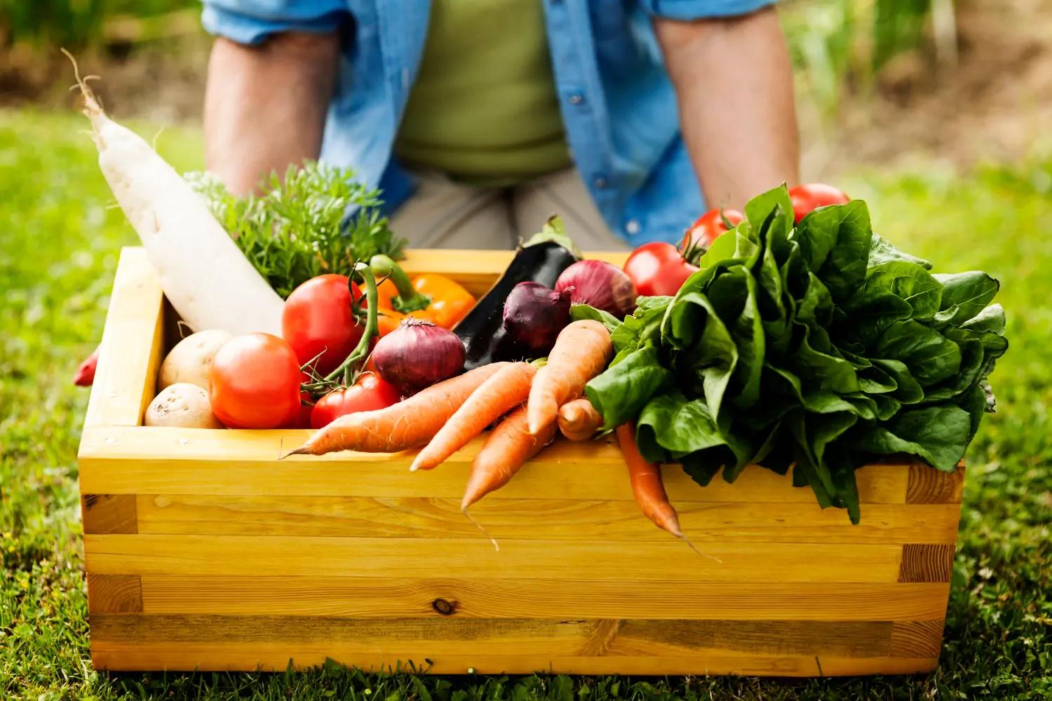 Anuncios de Verduras: Guía Definitiva para Impulsar Tus Ventas - Cómo puedo vender mis verduras anuncios de verduras - Cómo puedo vender mis verduras