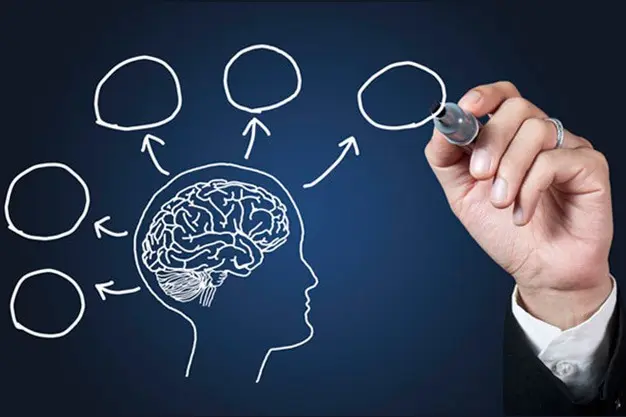Neurociencias Aplicadas al Marketing: Descifrando la Mente del Consumidor - Cómo se aplica la neurociencia en los negocios neurociencias aplicadas al marketing - Cómo se aplica la neurociencia en los negocios