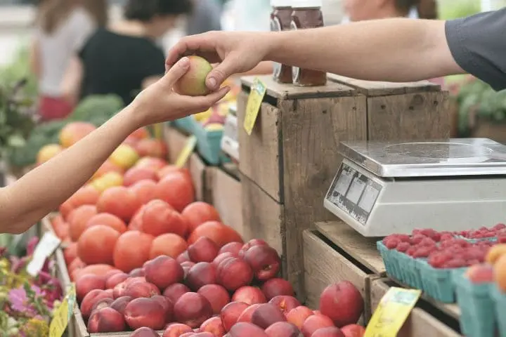 Compras Inducidas y Autónomas en Marketing: Guía Completa - Cómo se clasifican las compras compras inducidas y compras autónomas marketing - Cómo se clasifican las compras