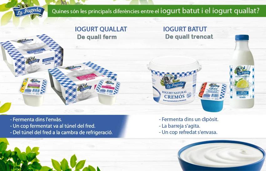 Diferenciación de Marketing del Yogur: Guía Completa para el Éxito - Cómo se comercializa el yogur diferenciacion de marketing del yogur - Cómo se comercializa el yogur