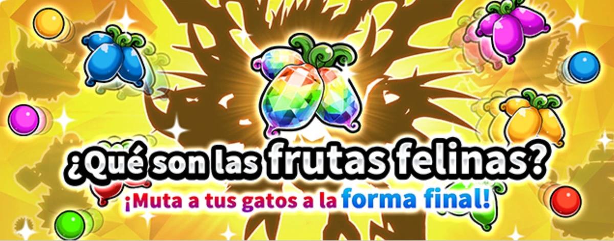 battle cats anuncios para ganar comida - Cómo se consigue la fruta épica en The Battle Cats