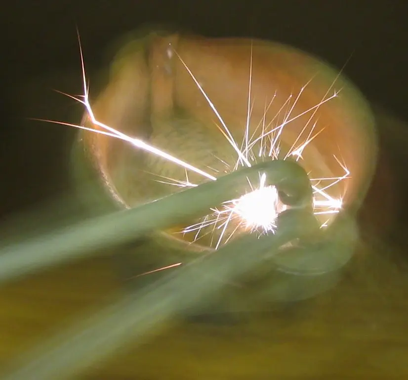 Publicidad encendedores: Guía SEO para el Marketing de un Producto Cotidiano - Cómo se llama la piedra de los encendedores publicidad encendedores - Cómo se llama la piedra de los encendedores