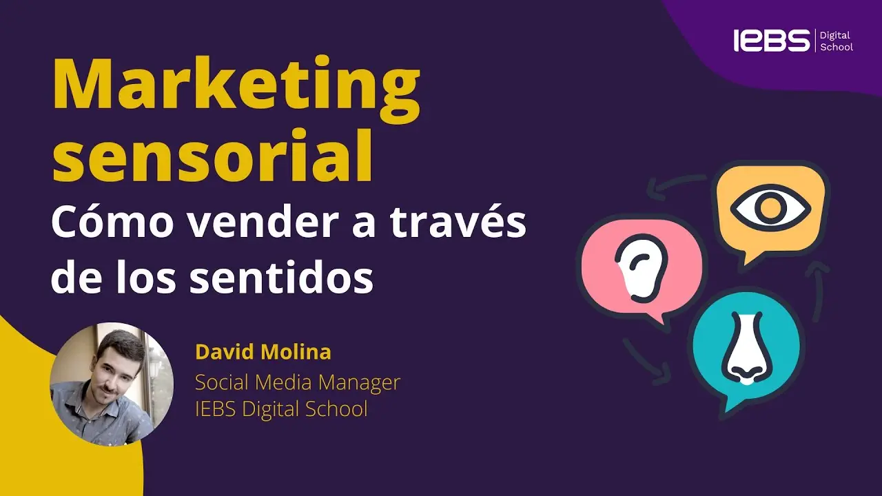 Cómo influye el tacto en la memoria y los estudios de marketing - Cómo se relaciona la percepción sensorial con el neuromarketing cómo inside el tacto en la memoria estudios de marketing - Cómo se relaciona la percepción sensorial con el neuromarketing
