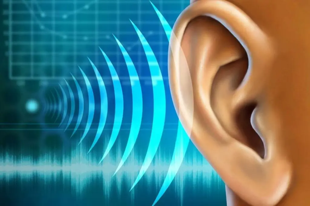 marketing auditivo ejemplos - Cómo se utiliza el sonido en marketing
