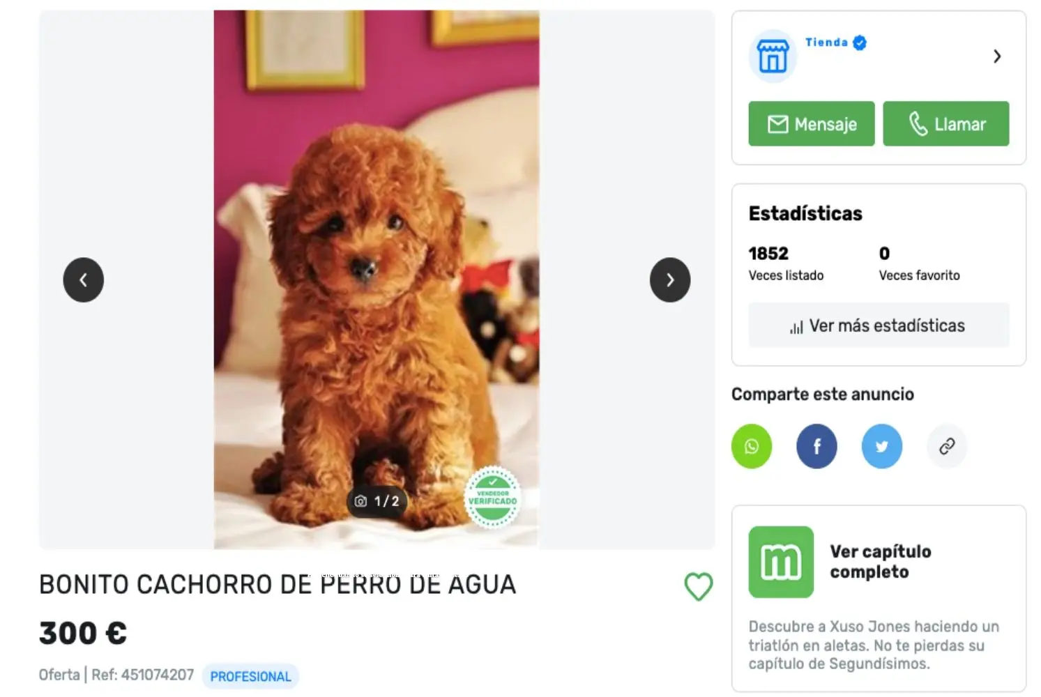 Anuncios para vender perros: La guía definitiva - Cómo vender un animal en Facebook anuncios para vender perros - Cómo vender un animal en Facebook