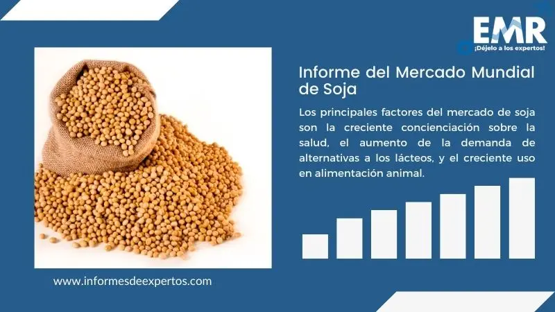 Estrategias de Marketing de la Soja en Argentina: Un Análisis Completo - Cuál es el destino de la soja en Argentina cuales son las extrategias del marketing de la soja - Cuál es el destino de la soja en Argentina