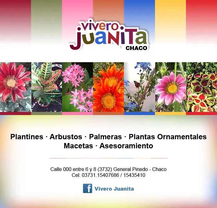Publicidad para Viveros: Guía Completa para Atraer Clientes - Cuál es el objetivo principal de un vivero publicidad vivero - Cuál es el objetivo principal de un vivero