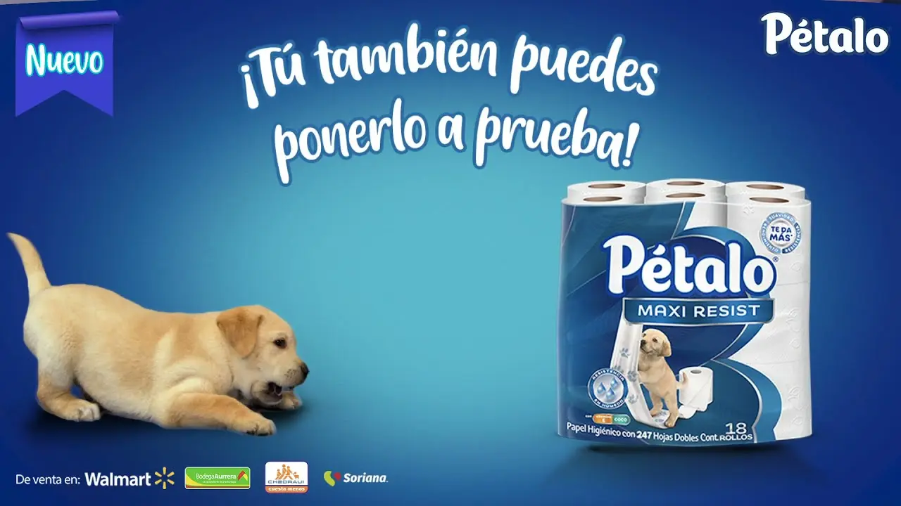 Guía definitiva de anuncios de papel higiénico: colocación, manualidades y comercialización - Cuál es el papel higiénico más suave anuncios de papel higienico - Cuál es el papel higiénico más suave