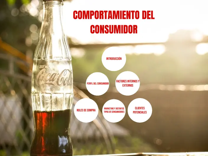 a quien va dirigida la publicidad de coca cola - Cuál es el perfil del consumidor de Coca-Cola