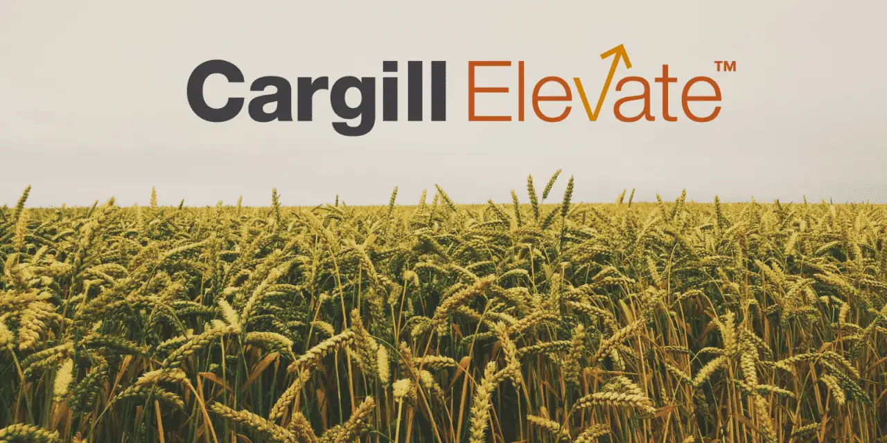 Cargill Marketing Contacto: Guía Completa para Comunicarse con Cargill - Cuál es la dirección de correo electrónico de Cargill cargill marketing contacto - Cuál es la dirección de correo electrónico de Cargill