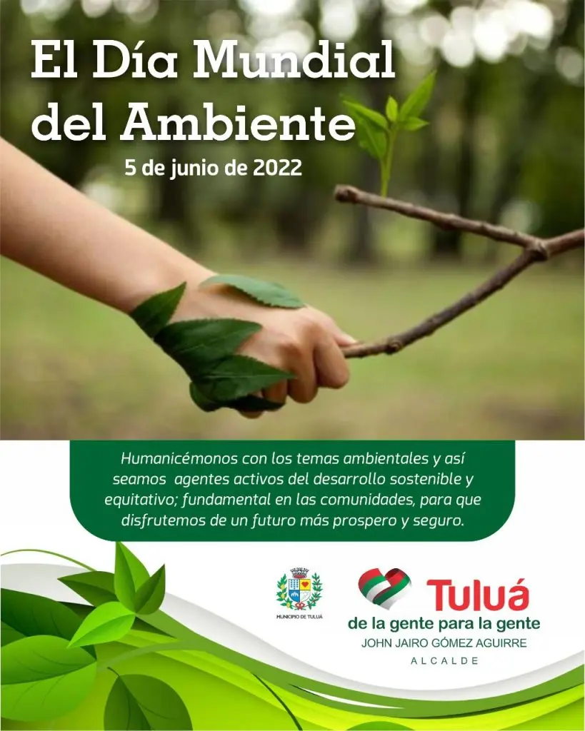 Publicidad ambiental: Una guía completa para anunciantes creativos - Cuáles son las campañas que ayudan al medio ambiente anuncios ambientales - Cuáles son las campañas que ayudan al medio ambiente