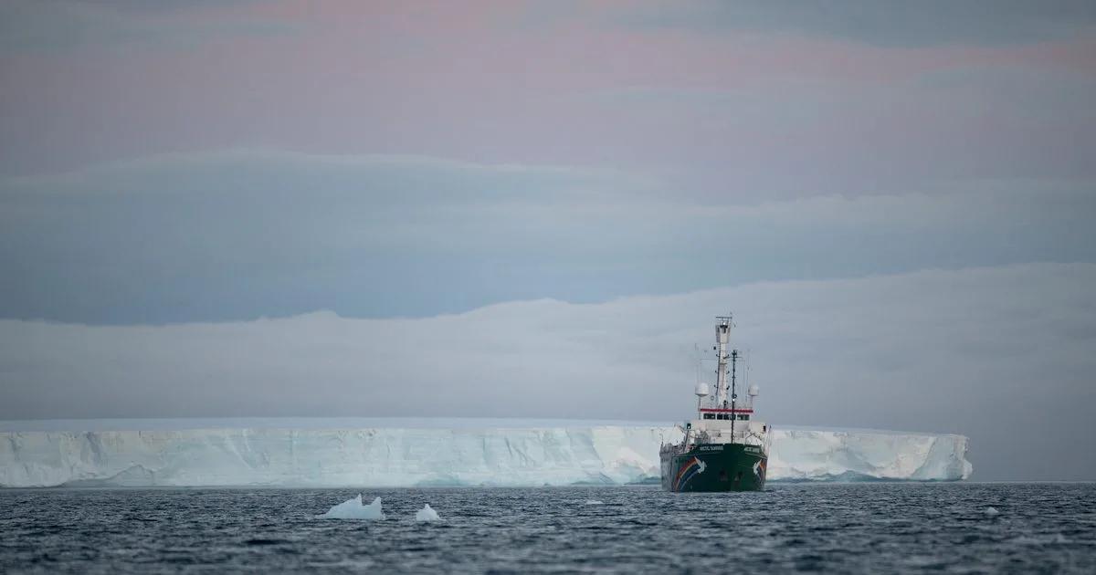 greenpeace publicidad - Cuáles son las principales campañas de Greenpeace