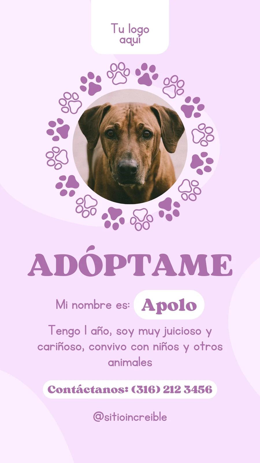 Tipos de Adopción y el Proceso de Adoptar en Argentina y Bolivia - Cuáles son los tipos de adopciones ejemplo de anuncios de adopcion - Cuáles son los tipos de adopciones