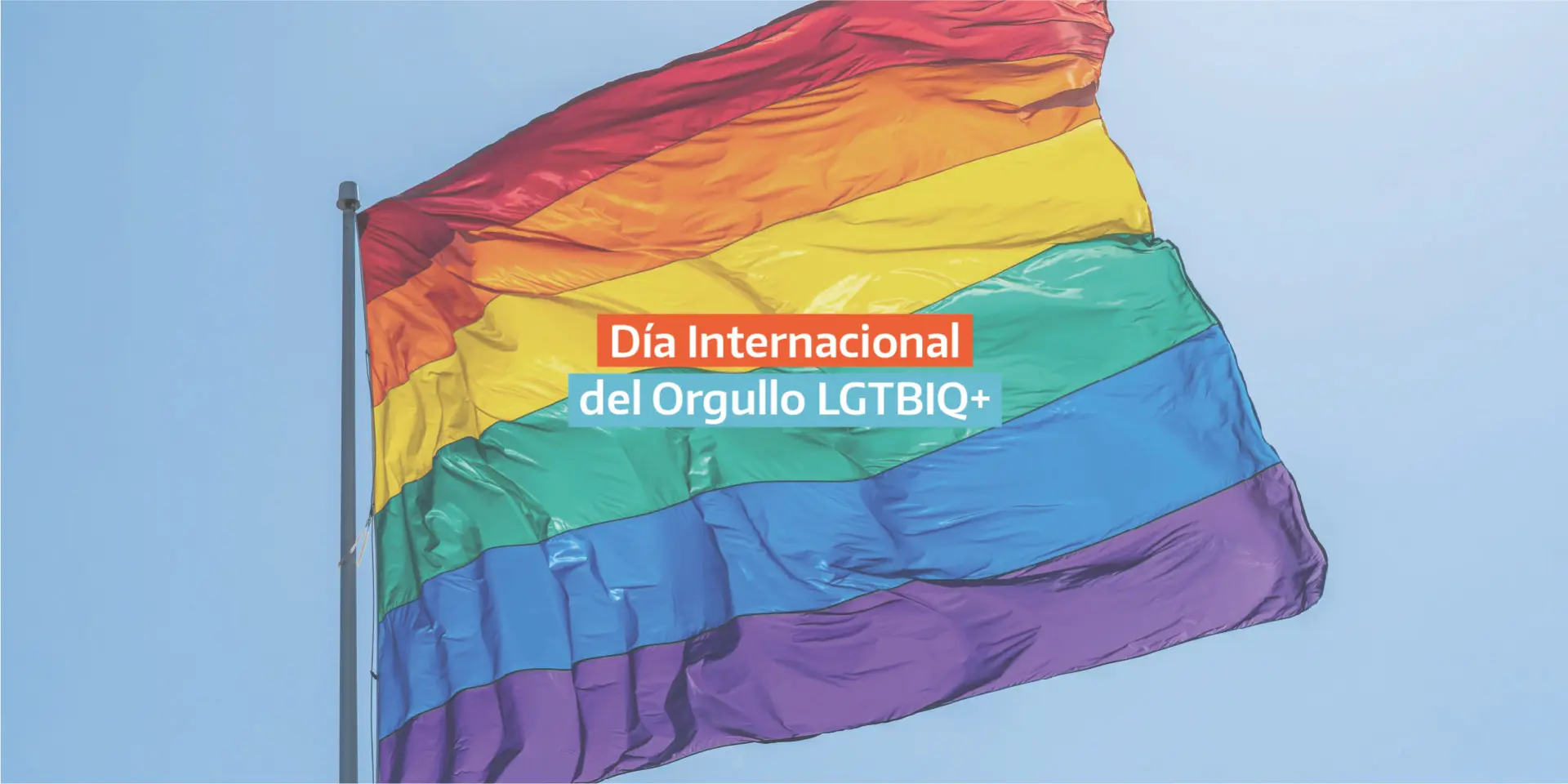 Publicidad LGBT en Argentina: Un Análisis del Mercado y su Evolución - Cuándo es el día de la comunidad LGBT en Argentina publicidad lgbt argentina - Cuándo es el día de la comunidad LGBT en Argentina