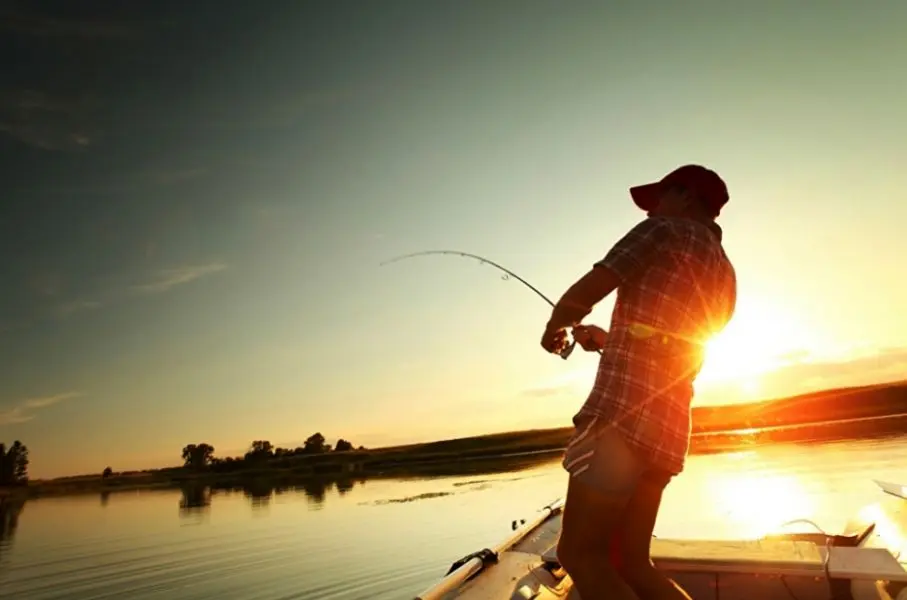 Anuncios de Pesca: Guía Completa para el Pescador Moderno - Cuándo es veda de pesca anuncios pesca - Cuándo es veda de pesca