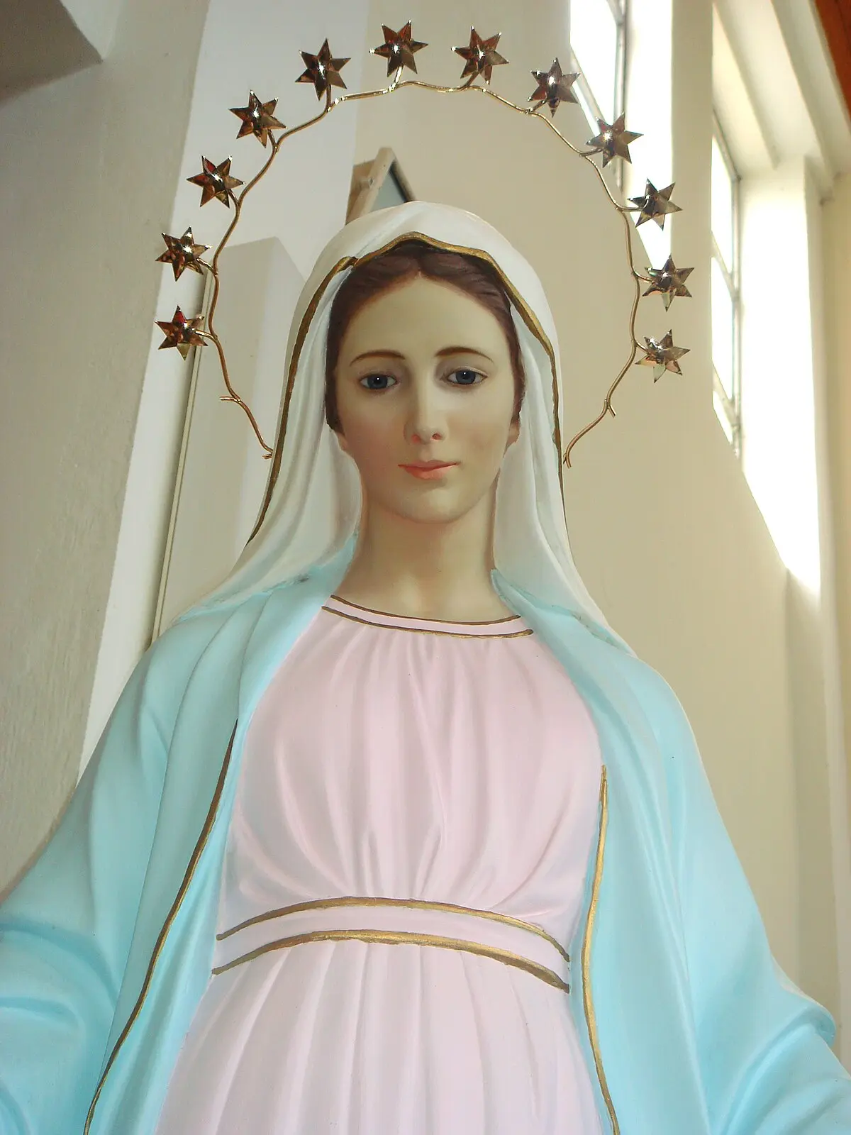 Anuncios Apocalípticos de la Virgen de Medjugorje: Análisis de los Mensajes y la Posición del Vaticano - Cuándo fue el milagro de Medjugorje anuncios apocalipticos de la virgen mejugore - Cuándo fue el milagro de Medjugorje