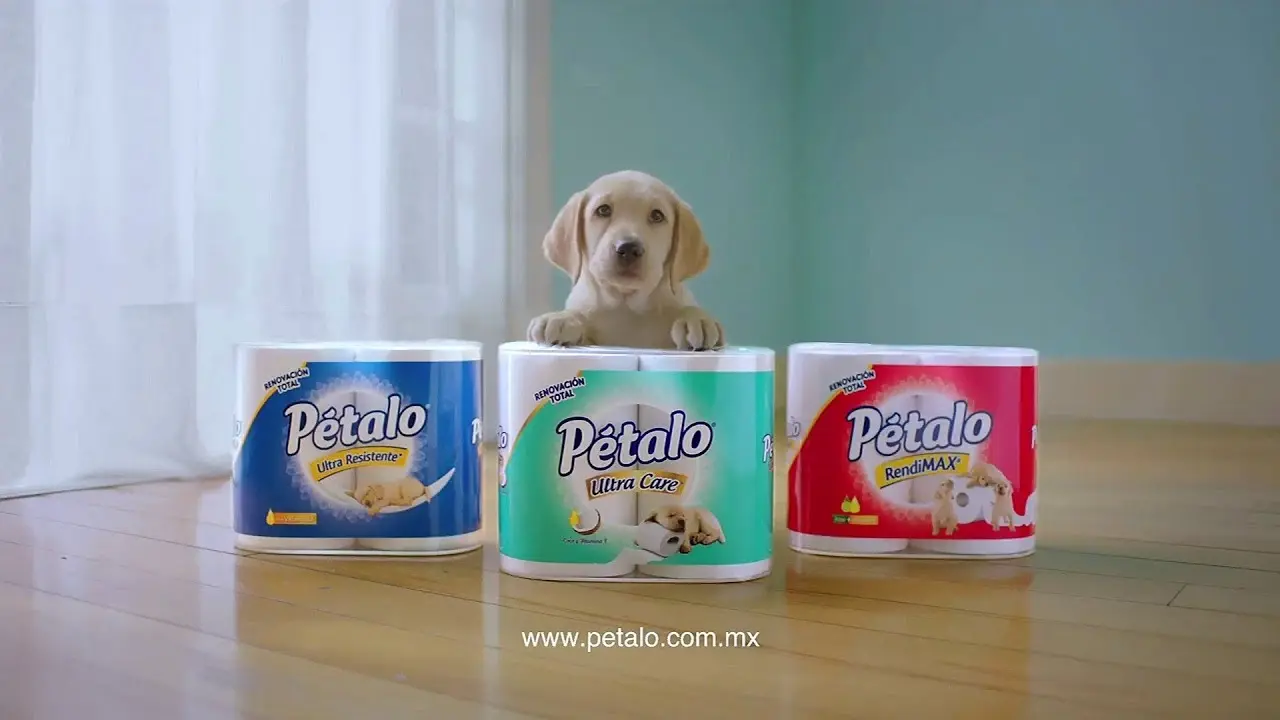 Guía definitiva de anuncios de papel higiénico: colocación, manualidades y comercialización - Cuándo se comercializa el papel higiénico anuncios de papel higienico - Cuándo se comercializa el papel higiénico