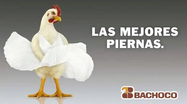 Prosopopeya en la Publicidad: Dar Voz a lo Inaudito - Cuándo se usa la prosopopeya prosopopeya en la publicidad - Cuándo se usa la prosopopeya