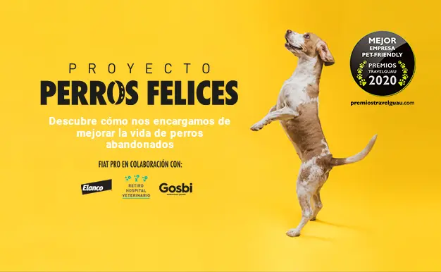 Publicidad con Perros: La Guía Definitiva para una Campaña Exitosa - Cuánto cobra un perro modelo publicidad perros - Cuánto cobra un perro modelo