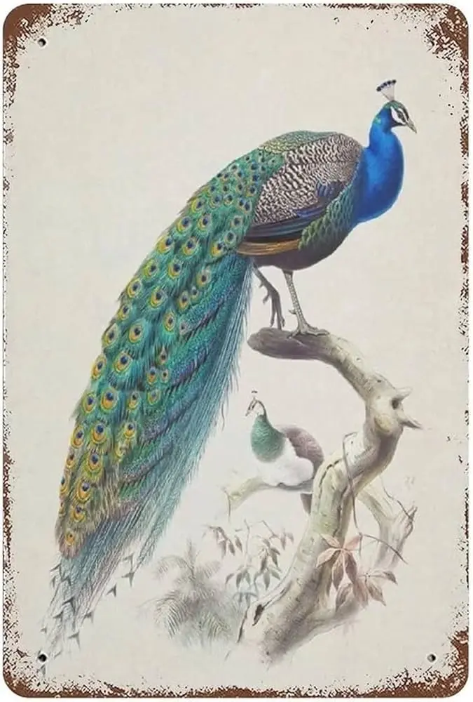 Pavo Real en Publicidad: Un Símbolo de Belleza y Elegancia - Cuánto cuesta un par de pavo real pavo real publicidad - Cuánto cuesta un par de pavo real