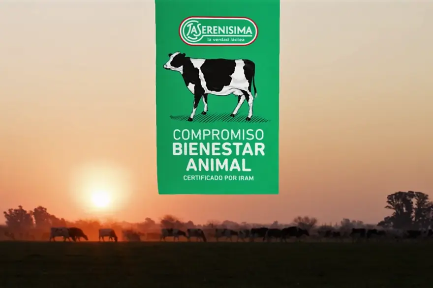 Cuánto gana un empleado de La Serenísima al mes - Cuánto gana un empleado de La Serenísima al mes la serenísima marketing - Cuánto gana un empleado de La Serenísima al mes