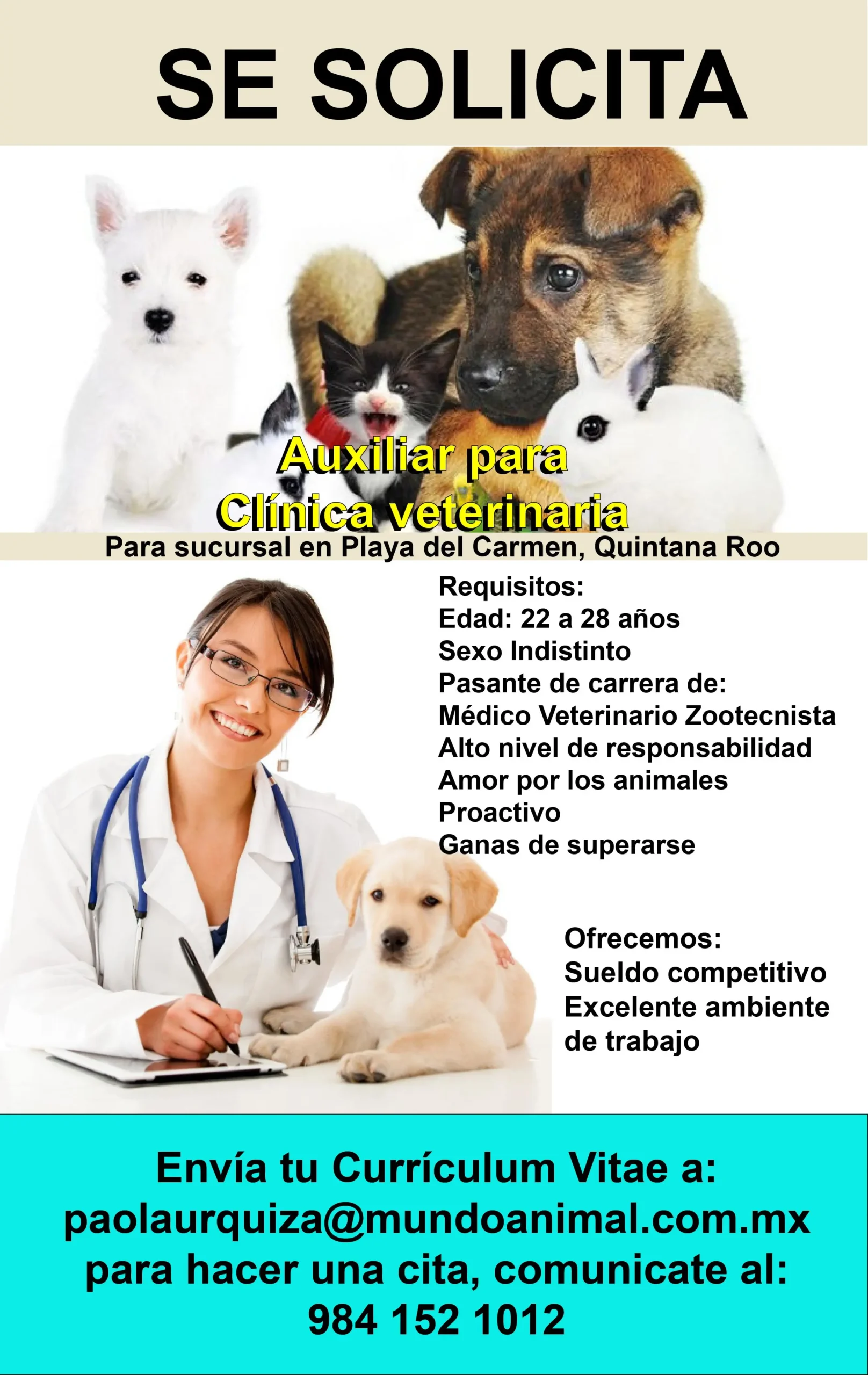 <b>Anuncios</b> de trabajo para <b>Ayudante de Veterinaria</b>: Salario, funciones y requisitos - Cuánto le pagan a un ayudante de veterinaria anuncios donde se busque ayudante de veterinario - Cuánto le pagan a un ayudante de veterinaria