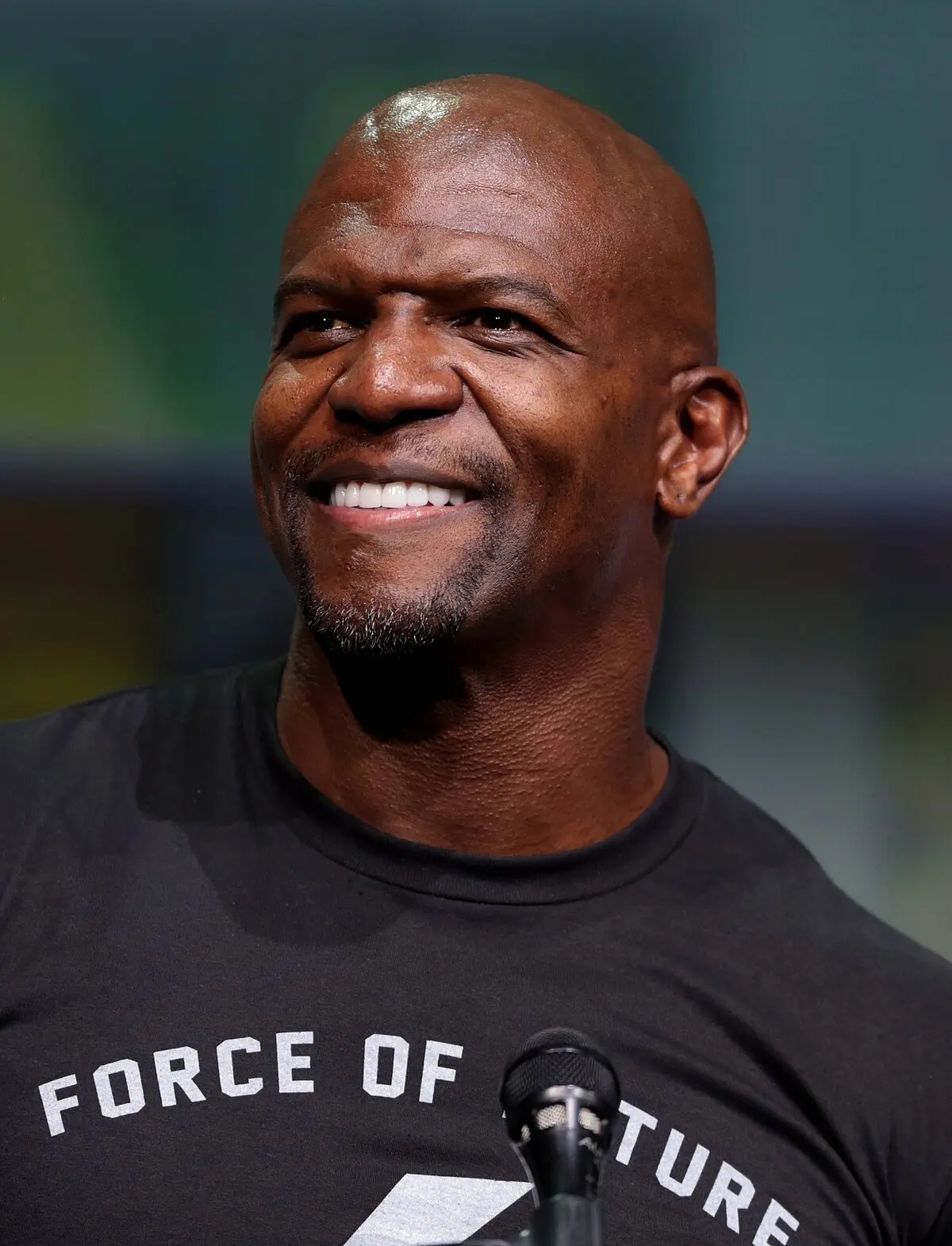Terry Crews en la publicidad: Un análisis de su impacto y presencia en campañas publicitarias - Cuánto mide y pesa Terry Crews terry crews publicidad - Cuánto mide y pesa Terry Crews