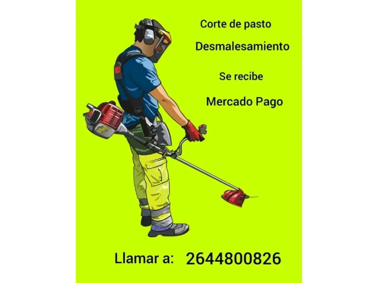Publicidad Corte de Pasto: Guía Completa para Profesionales y Clientes - Cuánto se cobra un corte de pasto en Argentina publicidad corte de pasto - Cuánto se cobra un corte de pasto en Argentina