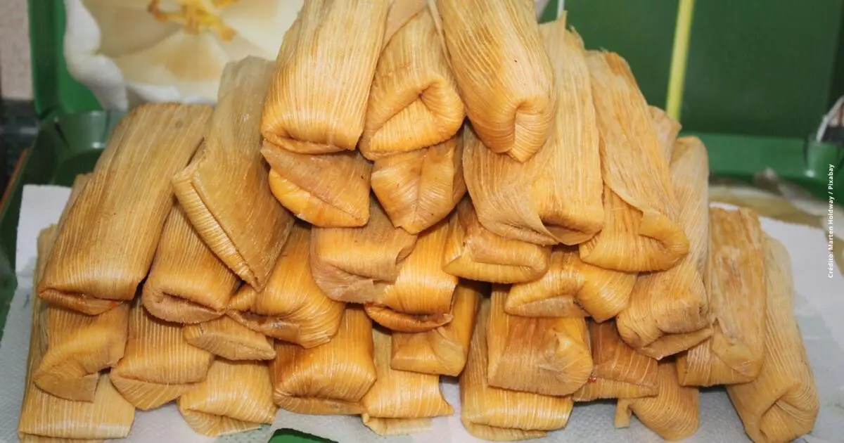 Publicidad y Venta de Tamales: Guía para el Éxito - Cuánto se le invierte a los tamales publicidad venta de tamales - Cuánto se le invierte a los tamales