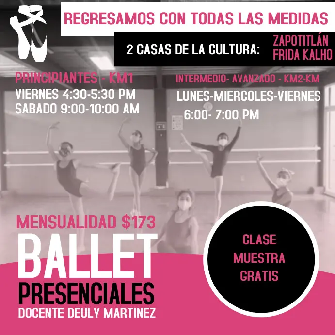 Clases de Ballet: Precios, Beneficios y Cómo Encontrar la Escuela Ideal - Cuánto te pagan por ser Bailarina de ballet clases de ballet publicidad - Cuánto te pagan por ser Bailarina de ballet