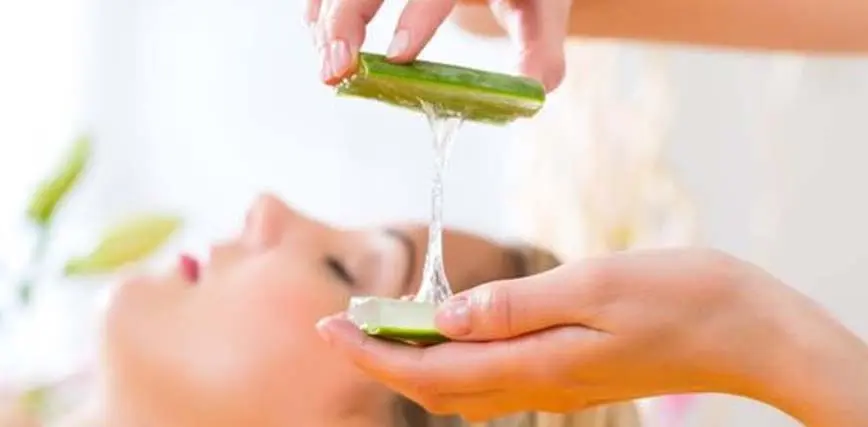<b>Anuncios de Crema de Aloe Vera: Guía Definitiva para una Piel Radiante</b> - Cuánto tiempo se deja la crema de aloe vera en la cara anuncios de crema de aloe vera - Cuánto tiempo se deja la crema de aloe vera en la cara