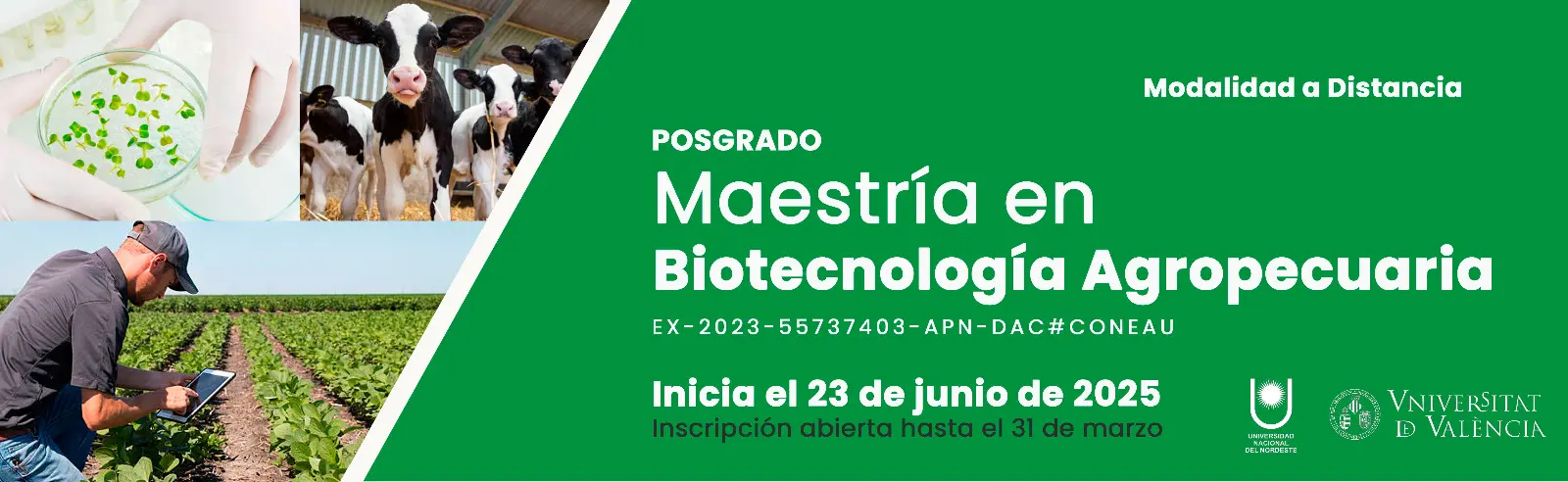 Ingeniería Agronómica UNNE: Anuncios y Guía Completa - Cuántos años son para estudiar ingeniería agrónoma agronomia unne anuncios - Cuántos años son para estudiar ingeniería agrónoma