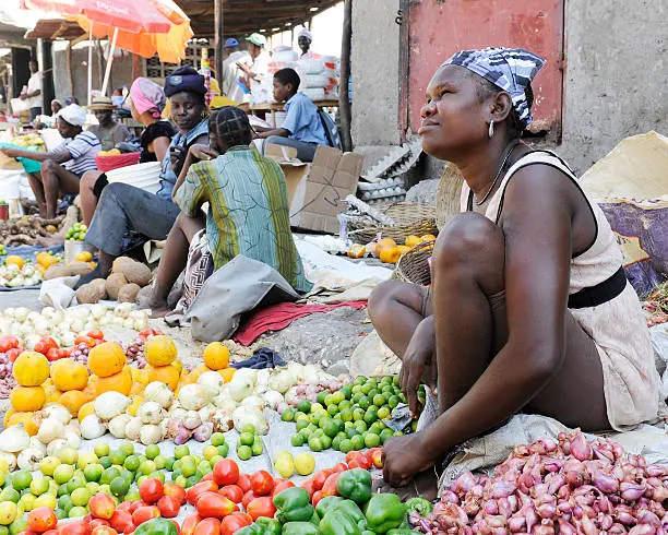 Marketing en Haití: Una guía completa para el éxito - Cuántos haitianos hay en Haití haiti marketing - Cuántos haitianos hay en Haití