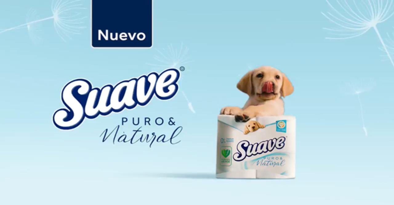 Guía definitiva de anuncios de papel higiénico: colocación, manualidades y comercialización - Dónde colocar el portarrollo de papel higiénico anuncios de papel higienico - Dónde colocar el portarrollo de papel higiénico
