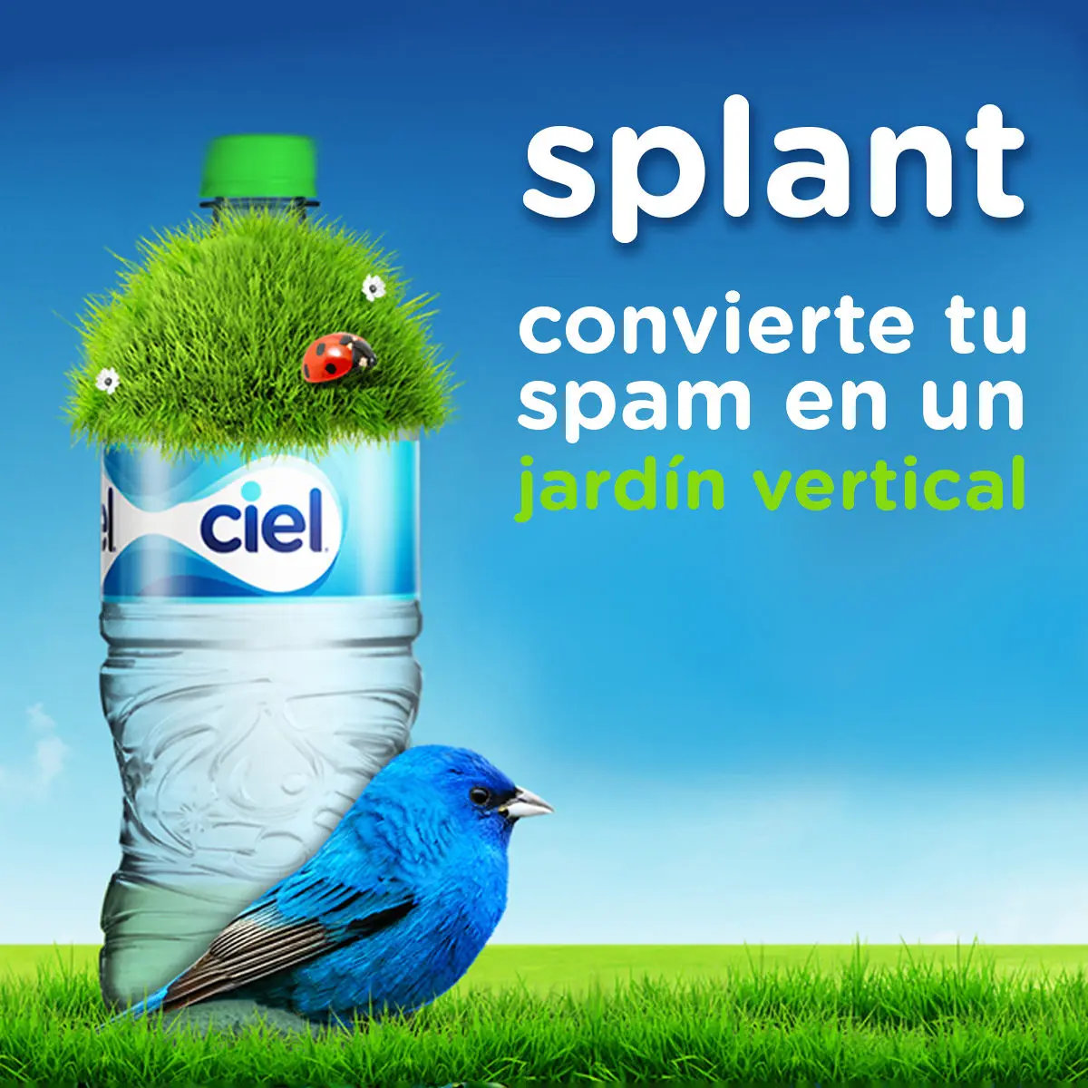 publicidad de ciel - Dónde se fabrica Ciel