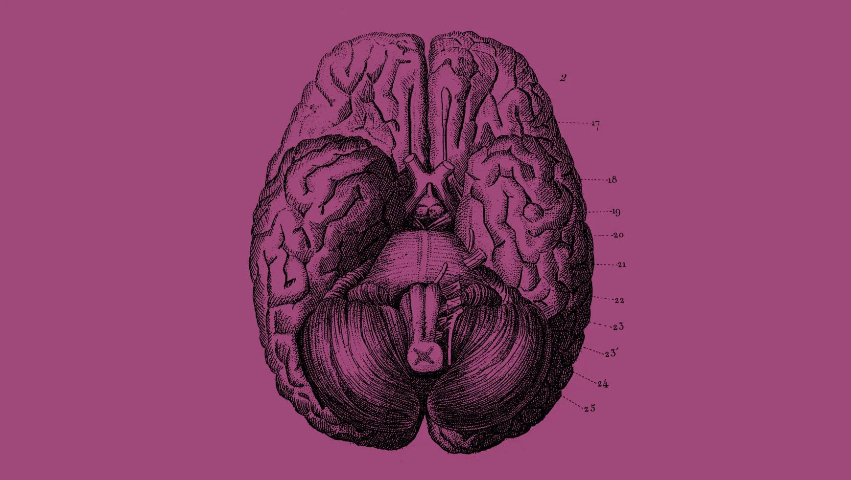 Psicología del color en marketing y branding: una guía completa - How do brands use Colour psychology the psychology of color in marketing and branding - How do brands use Colour psychology