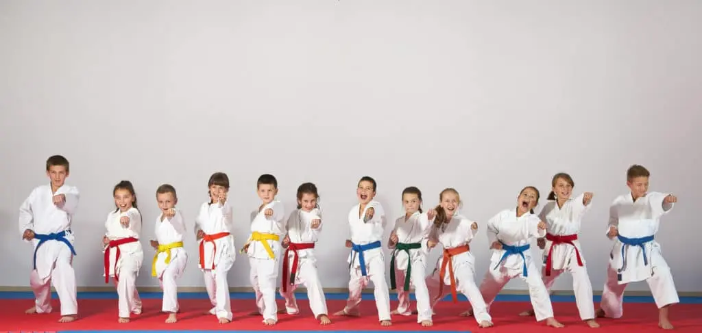 Marketing para Escuelas de Artes Marciales: La Guía Definitiva para 2024 - How do you attract martial arts students marketing for martial arts schools - How do you attract martial arts students