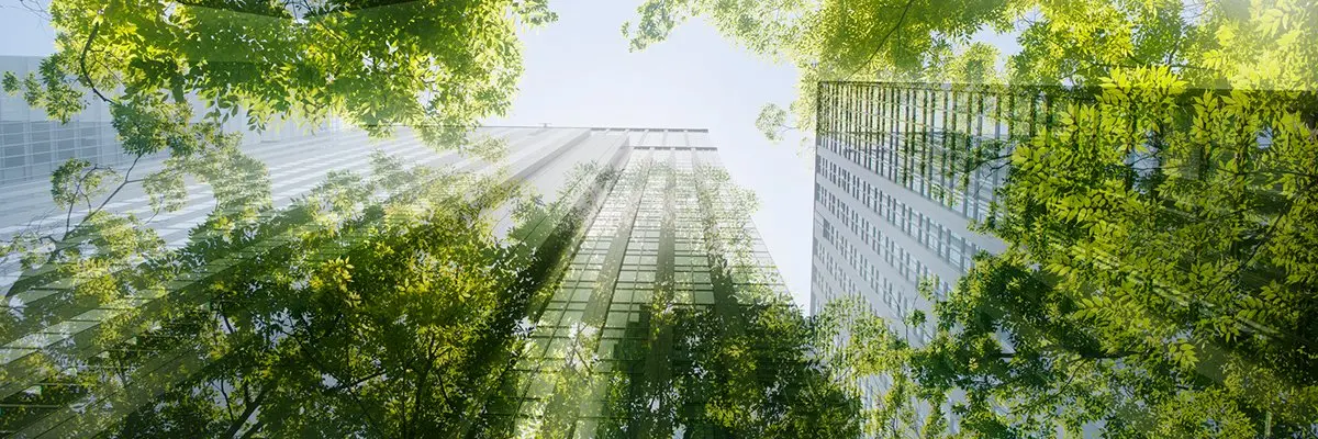 Marketing y sostenibilidad: una estrategia para el éxito - How is ESG related to marketing marketing and sustainability - How is ESG related to marketing