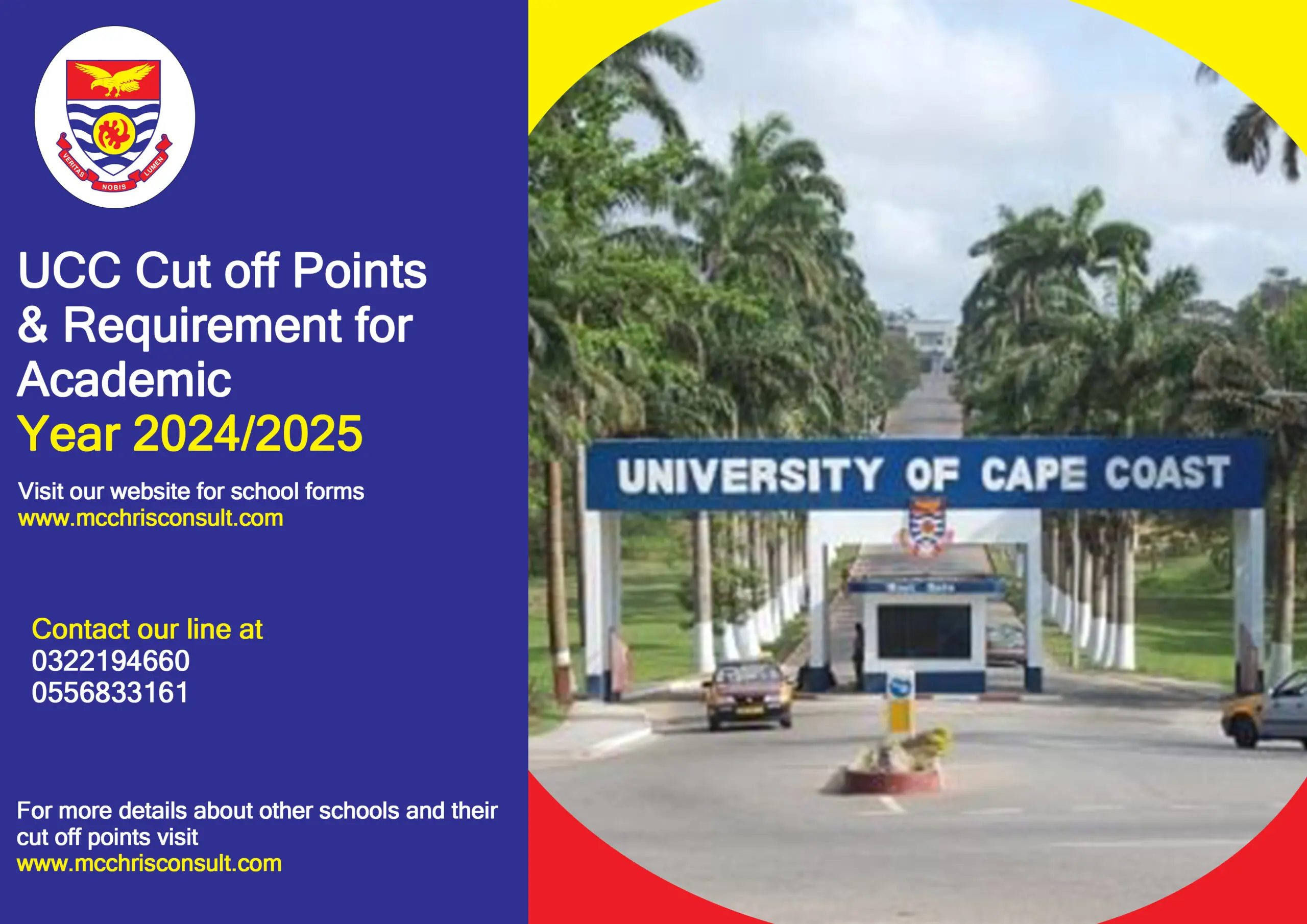 Marketing UCC Points: Una Guía Completa para el Éxito - How many points for business in UCC marketing ucc points - How many points for business in UCC