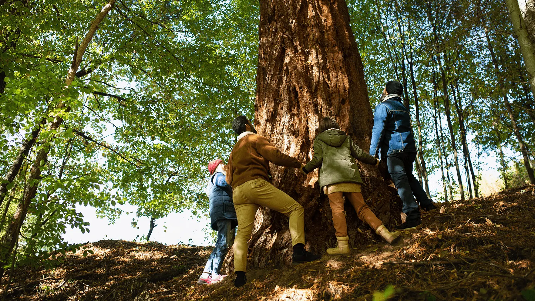 Ideas de Marketing para el Día de la Tierra: Guía Completa para 2024 - How to spread awareness about Earth Day earth day marketing ideas - How to spread awareness about Earth Day
