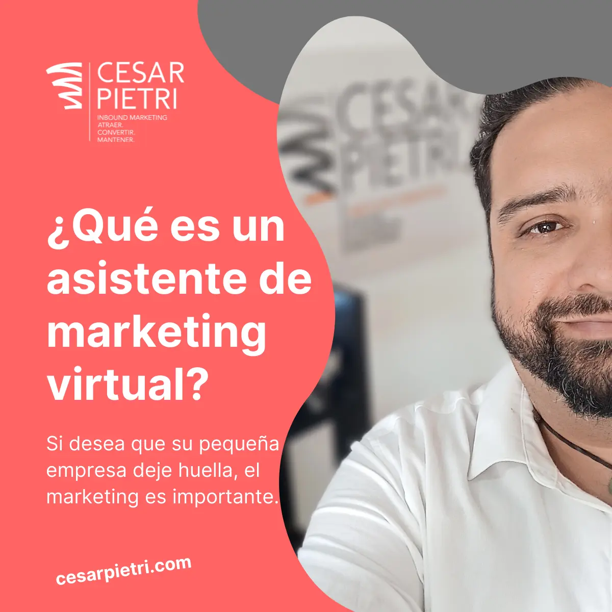 Auxiliar de Marketing sin Experiencia: Guía Completa para tu Primer Empleo - Necesitas experiencia para trabajar en marketing auxiliar de marketing sin experiencia - Necesitas experiencia para trabajar en marketing